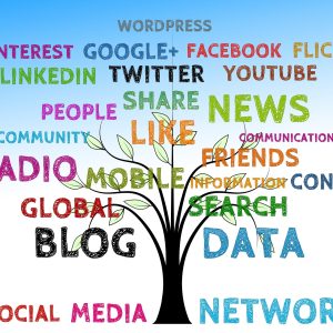 Blog Networks