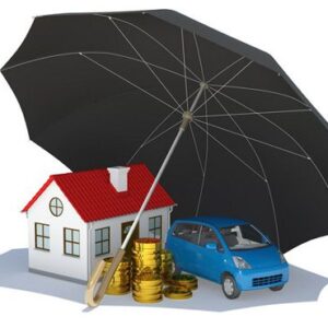 Combined Auto And Home Owner Insurance